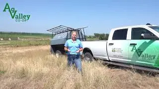 Feed Update: Benefits of Creep Feeding
