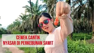 Lady angler cantik ini mancing gabus satu jam udah langsung dapat banyak ikan || Aura pawita mancing