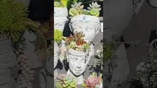 Beautiful Artistic Plant Pots | NZ Art & Craft #NatureWatch