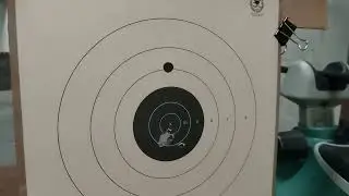 GUN CONTROL ADVOCATE 