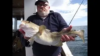 Cod fishing off Buchanness @kintakintyea