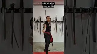 Smallsword: The Needle of Death! Subtle and DEADLY #sword #shots