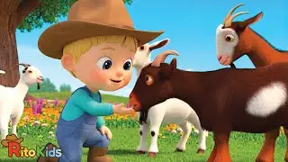 O Velho MacDonald Tinha uma Fazenda 🐮🐔🦃 | Canções Infantis da Fazenda