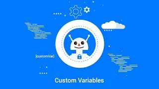 Custom Variables