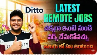 Latest Remote Job Update from Ditto | Freshers & EXP | Latest Jobs in Telugu | This is Vidhey