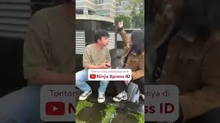 Menghasilkan Cuan dari Ikan Cupang #shorts