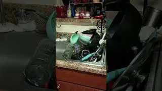 С меня хватит!