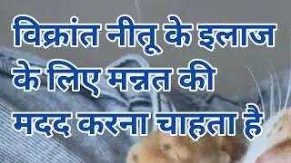 mannat serial || Mannat serial today episode || Vikarant wants to help mannat 😱😱😱#drama #trending 