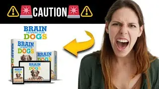 The Secret Revealed How Brain Training for Dogs Can Transform Your Pup in Weeks!