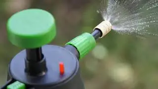 The 6 Best Pump Sprayers