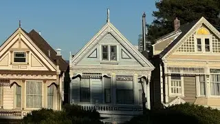 Alamo Square #sanfrancisco #alamosquare #paintedladies #Victorian #park #birds #travel #tourist