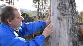 Lahares de la erupción del volcán Calbuco en 2015