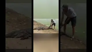 Samo&scaron;ka🔥