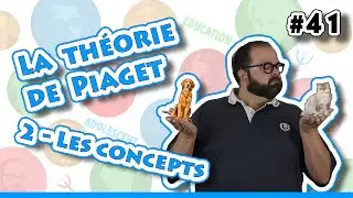 THE PIAGET THEORY (2/2 - THE CONCEPTS) - 60 seconds of PSY # 41