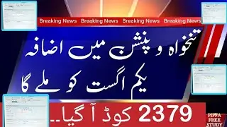 Adhoc Relief Allowance 2023 Code Issued | Salary Increase Explained