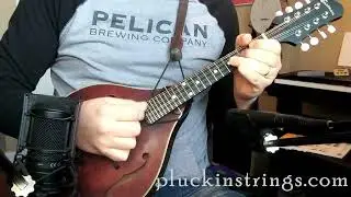 Tarantella dell '600 - Mandolin