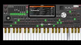 DJ LULO MELODY REMIK (OH BURUNG) ORG24