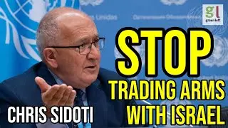 Chris Sidoti: 'Australia must stop two-way arms trade with Israel' | Green Left Show #68