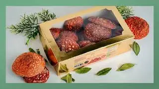 🍄 Amanita muscaria (Fliegenpilz) &ndash; Where to Buy / Wo Kaufen | Premium Dried Caps &ndash; Witaga.com