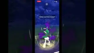 New Psycho Cut Shadow Gallade Is A Menace In #gbl #gobattleleague #pvp #pokemongo #battle #pokemon