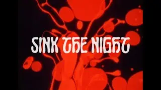 Die Like This - Sink The Night (Lyric Video)