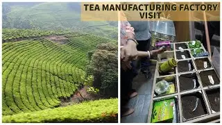 TEA MANUFACTURING FACTORY II RIPPLE TEA BRAND II TEA GARDENS II MADUPATTY II MUNNAR II KERALA II