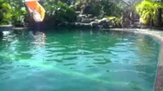 swimming lesson (back stroke) jaja