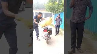 aap hi batao ab Ham kya Karen 😂😅 #shorts #funny
