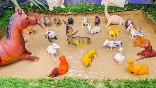 Two Big Wild Animals Stuck in Sandbox Big Horse Bengal Tiger Big Dinosaur Mamenchisaurus