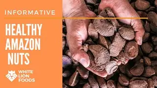 HEALTH BENEFITS OF BRAZIL NUTS [White Lion Foods]