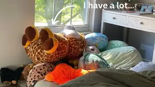 My Stuffed Animal Collection!!
