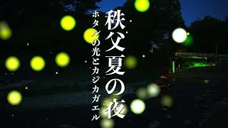 カジカガエルの鳴き声 蛍の光 | 埼玉県秩父 | Crying frog - SUMMER Night AMBIENT SOUND
