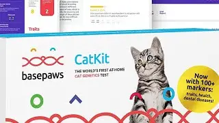 Basepaws Cat DNA Test | Breed + Health + Dental Report | Top Cat Breeds & 114 Health & Trait Markers