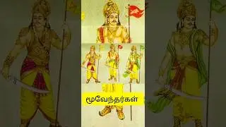 மூவேந்தர்கள் 💥🔥|#shorts சேரர் | சோழர் | பாண்டியர்  #tamilnadu #history #cholan #pandiyar #தமிழ்#gk