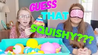 BLINDFOLDED SQUISHY CHALLENGE WITH MY SISTER | Bryleigh Anne