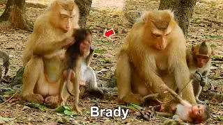 Never seen before, Rose b-eaten baby Brady c-rying loudly