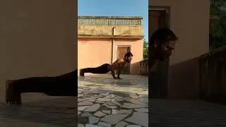 50+diamondpushups Day 60#diamondpushups #triceps #tricepsworkout #tricepsexercise