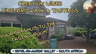 Vineyard walkthrough from Voormanshuis to Creation Wines tasting room