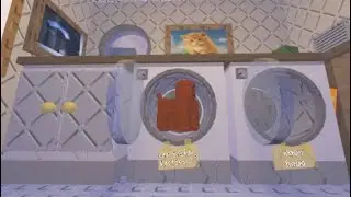 KITTY CAM REVIEWS HOME 