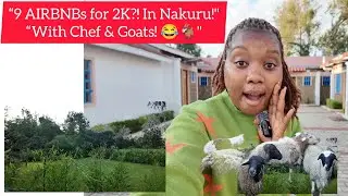 &ldquo;I Found 9 Hidden Airbnb Studios in Nakuru for ONLY 2K! 🇰🇪✨ (Wait&hellip;There Are GOATS?! 🐐😂)&rdquo;