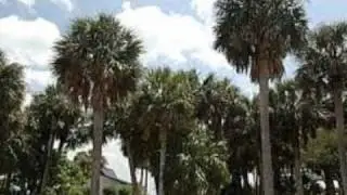 South Carolina Low Country by Josh Turner