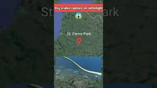 Big snake found on google maps and google earth #shorts #googlemap