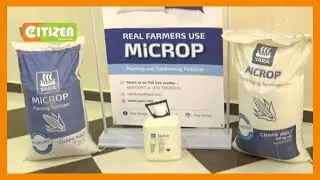 Yara East Africa woos maize farmers with input