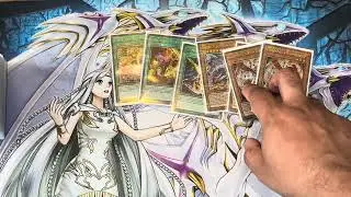 Blue-Eyes Primite Deck Profile ( Undefeated at locals 4-0 )