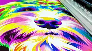 Digiprint Nettl delivers on bold print ambition