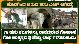 76 ಹಸು ಕರುಗಳನ್ನು ಸಾಕುತ್ತಿರುವ ಗೋಶಾಲೆ, ಗೋ ಉತ್ಪನ್ನದಲ್ಲಿ ಹೆಚ್ಚು ಲಾಭ ಗಳಿಸಬಹುದು | Cow farming at home