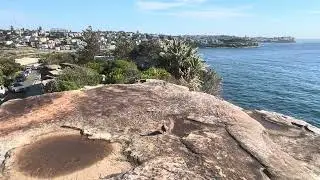 Views of Eastern suburbs from Bronte beach