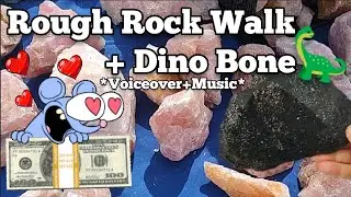 Dino Bone + Rough Rock Gem Show!🦖🪨Pearblossom #gems #crystals #gemshow #lapidary #quartz #agate