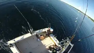 Lake Trout - Mega-Bite Fishing Charters