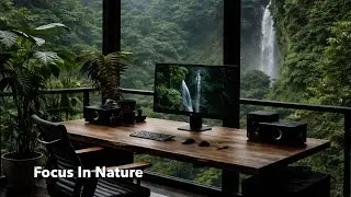 Forest Office Ambience 🌿 Deep Focus Music for Work & Study